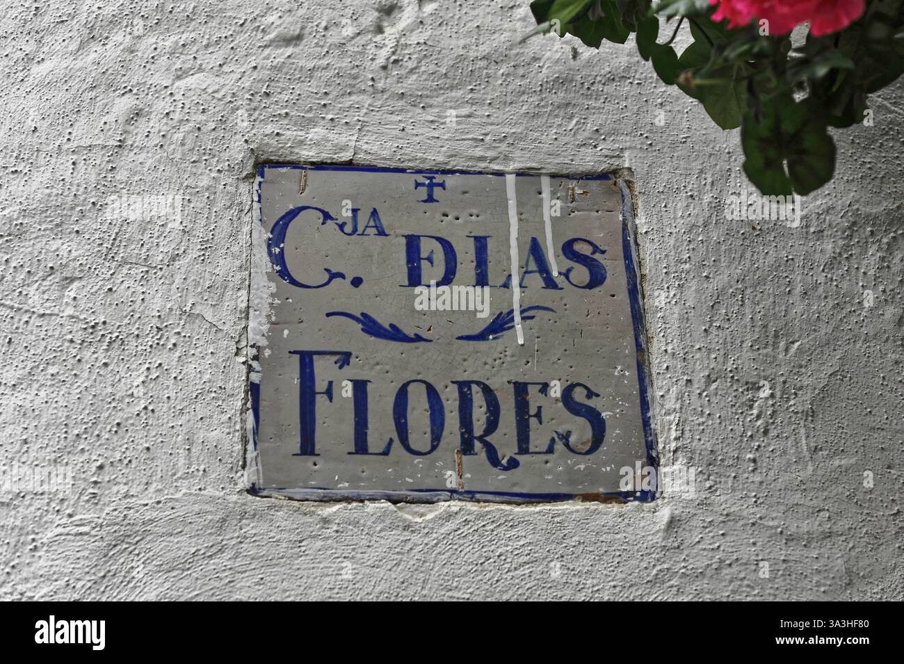Cordoue, Andalousie, Espagne, Europe, panneau de rue traditionnel sur un vieux mur avec des plantes poussant à côté, l'Europe Banque D'Images