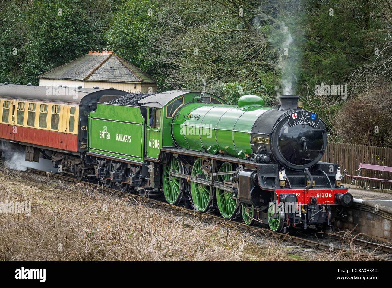 Locomotive à vapeur LNER Thompson Class B1 61306 nommée Mayflower vue à l'arrêt Irwell Vale sur le chemin de fer historique East Lancashire. Banque D'Images