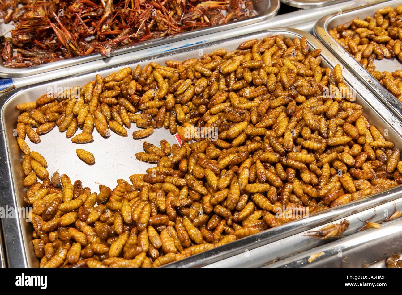 Insectes cuits, nourriture de rue, Chinatown, Bangkok, Thaïlande, Asie Banque D'Images