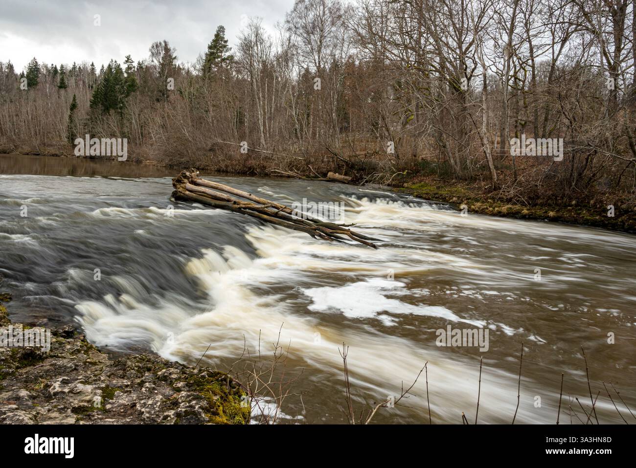 ABAVA Rumba est une cascade à plusieurs niveaux sur la rivière ABAVA, l'eau coule sur des marches de dolomie, vallée d'ABAVA, Lettonie Banque D'Images