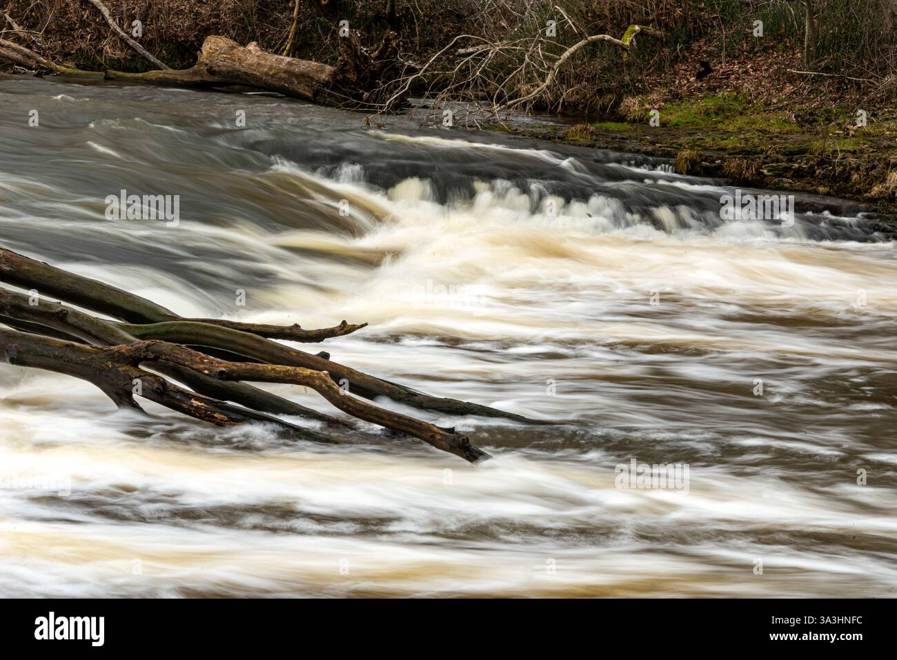 ABAVA Rumba est une cascade à plusieurs niveaux sur la rivière ABAVA, l'eau coule sur des marches de dolomie, vallée d'ABAVA, Lettonie Banque D'Images