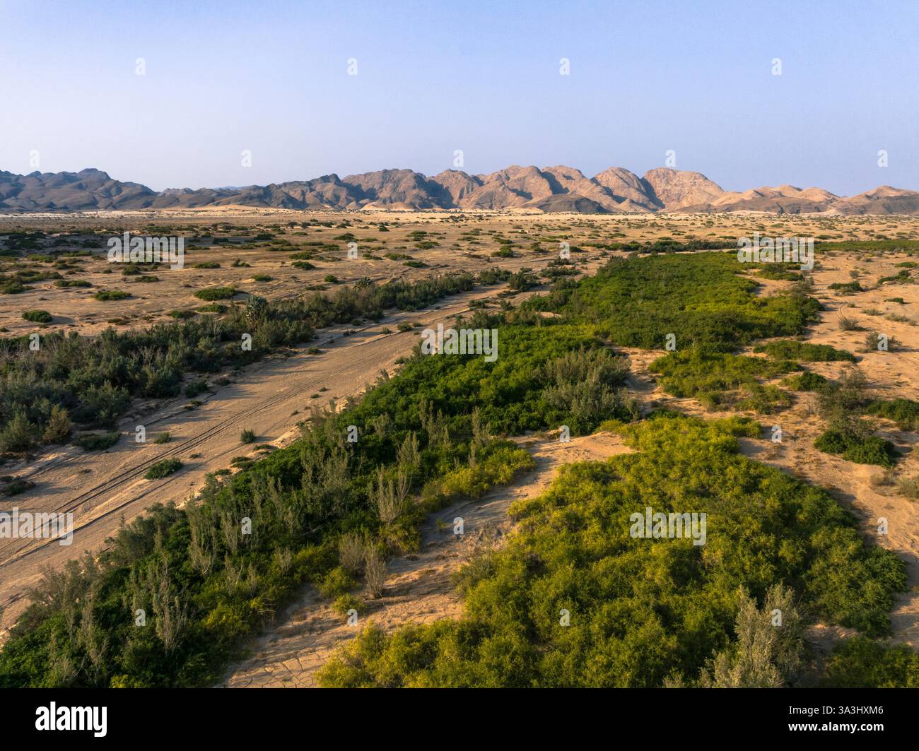 Vue aérienne du lit de la rivière Dry Hoanib contre les montagnes, Damaraland, Afrique Banque D'Images
