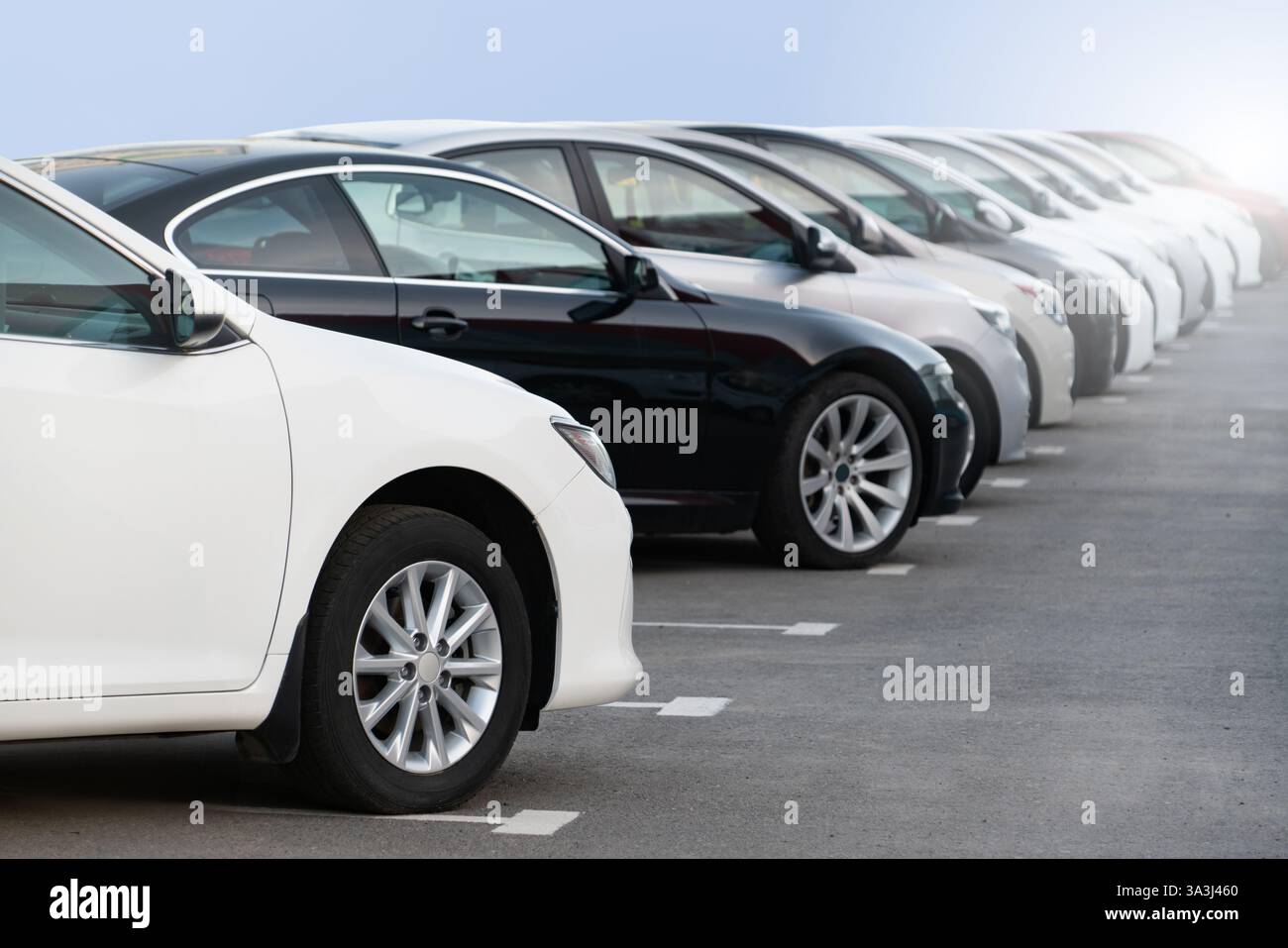 Beaucoup de voitures dans une rangée. Ventes de voitures d'occasion. Banque D'Images