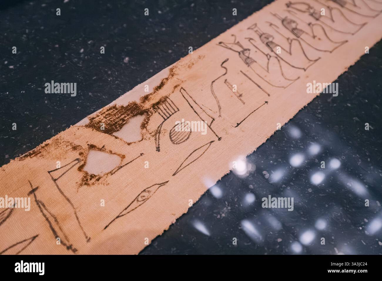 Gros plan d'un papyrus avec des hiéroglyphes, présentant l'écriture égyptienne antique et le patrimoine culturel Banque D'Images