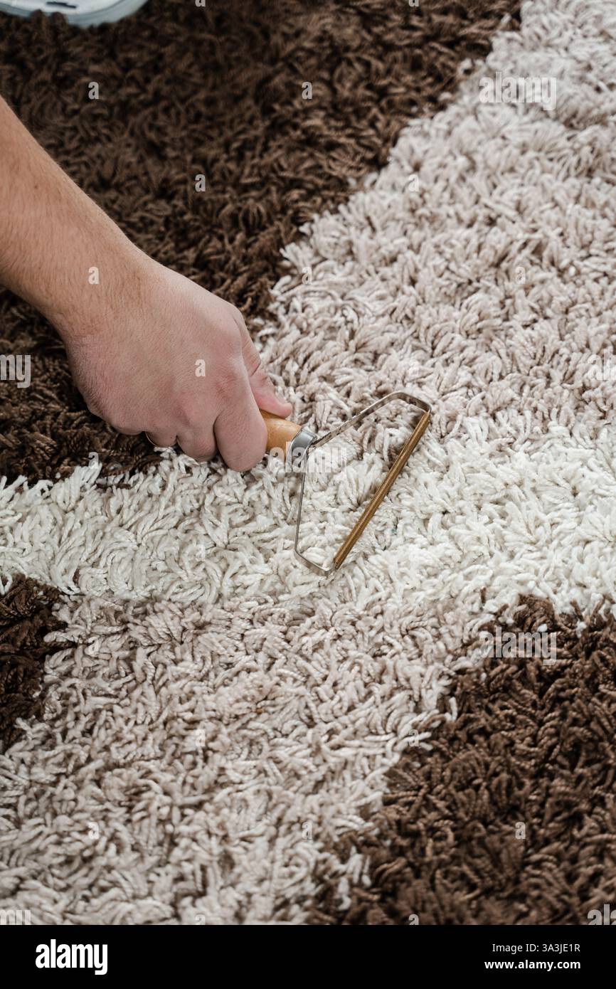 ELIMINATEUR de poils réutilisable pour chats et chiens avec rasoir. Gros plan du racleur manuel de moquette. Nettoyage de la moquette à l'aide d'un rasoir à peluches portable Banque D'Images