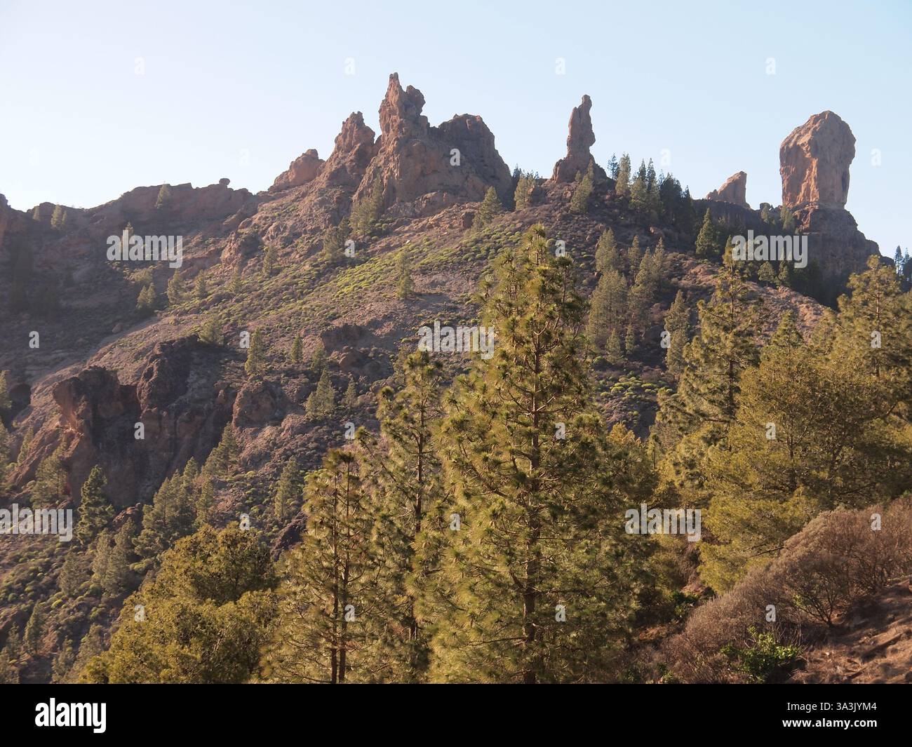 Mirador de la Goleta - Roque Nublo (Tejeda, Grande Canarie, Royaume d'Espagne) Banque D'Images