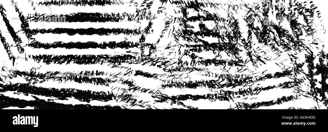 Un motif abstrait noir et blanc qui présente des bandes et des éléments de texture intrigants Banque D'Images