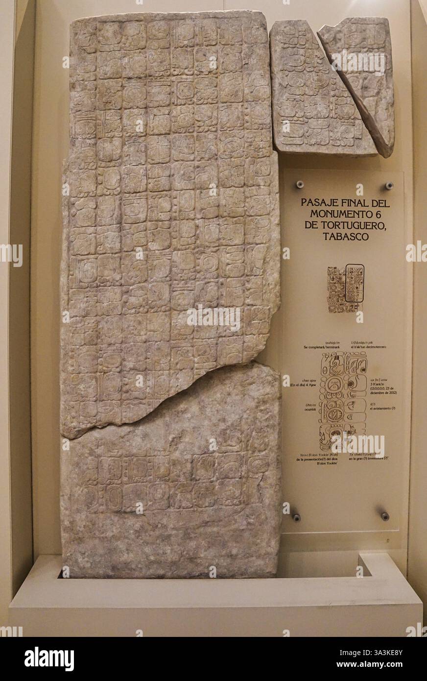 Stèle Tabasco de la région des tortues, dédiée au Dieu maya du commerce, de l'espace et du temps, Bolon Yokte fait de calcaire au Museo de Maya, Cancun, Mexique Banque D'Images