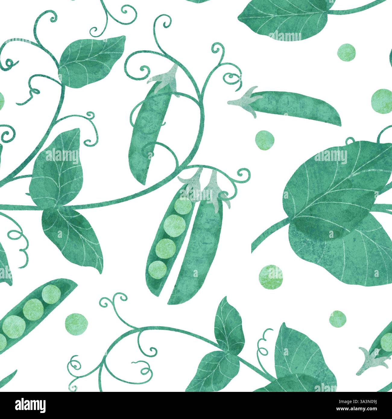 Motif sans couture avec des pois verts, des brindilles, des feuilles sur un fond blanc. Elément pour décorer des aliments et des accessoires de cuisine. Banque D'Images