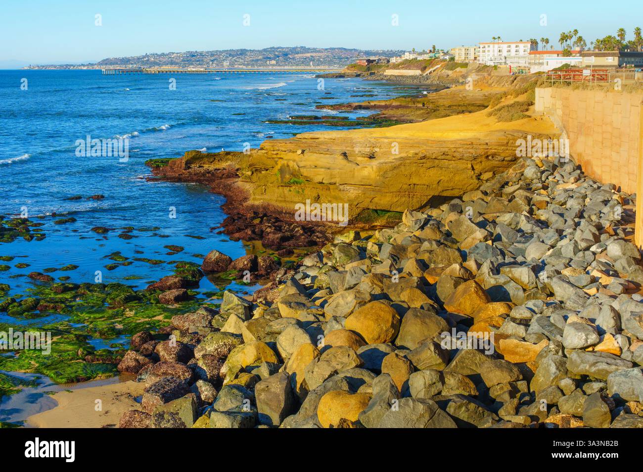 Vue pittoresque sur la côte rocheuse de San Diego avec des algues vibrantes et des rochers lisses sous un ciel bleu clair, capturée pendant l'heure dorée avec Banque D'Images