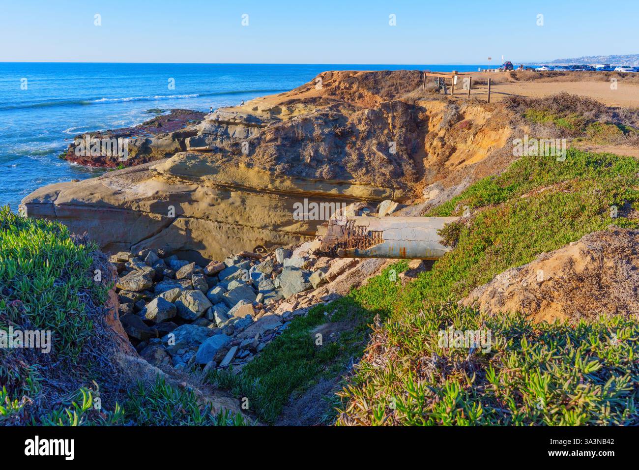 Paysage côtier à couper le souffle à San Diego, en Californie, mettant en évidence les falaises accidentées, le feuillage vert vibrant et les eaux océaniques sereines sous un bleu clair Banque D'Images