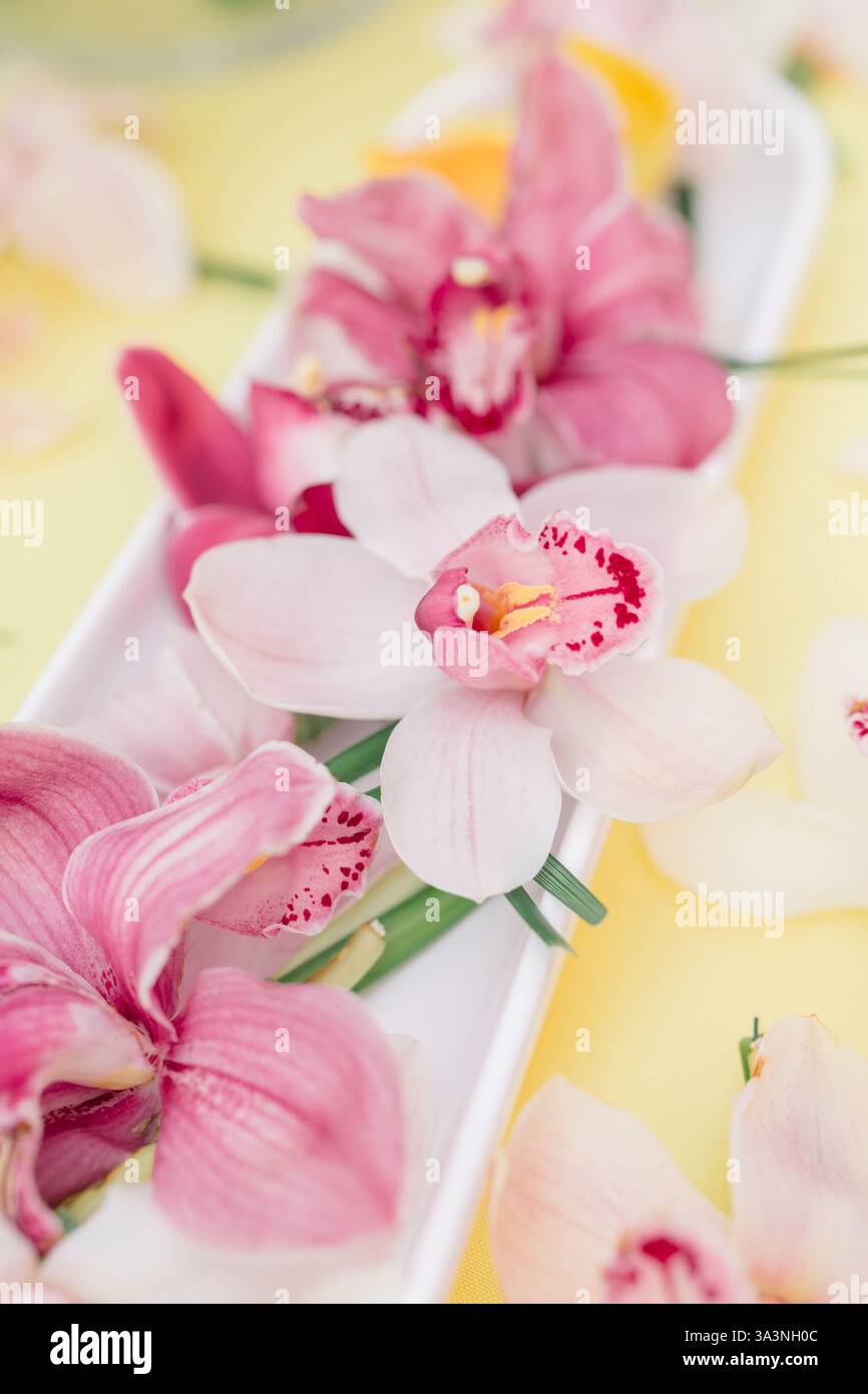 Gros plan d'orchidées roses et blanches disposées sur un plat blanc. Banque D'Images