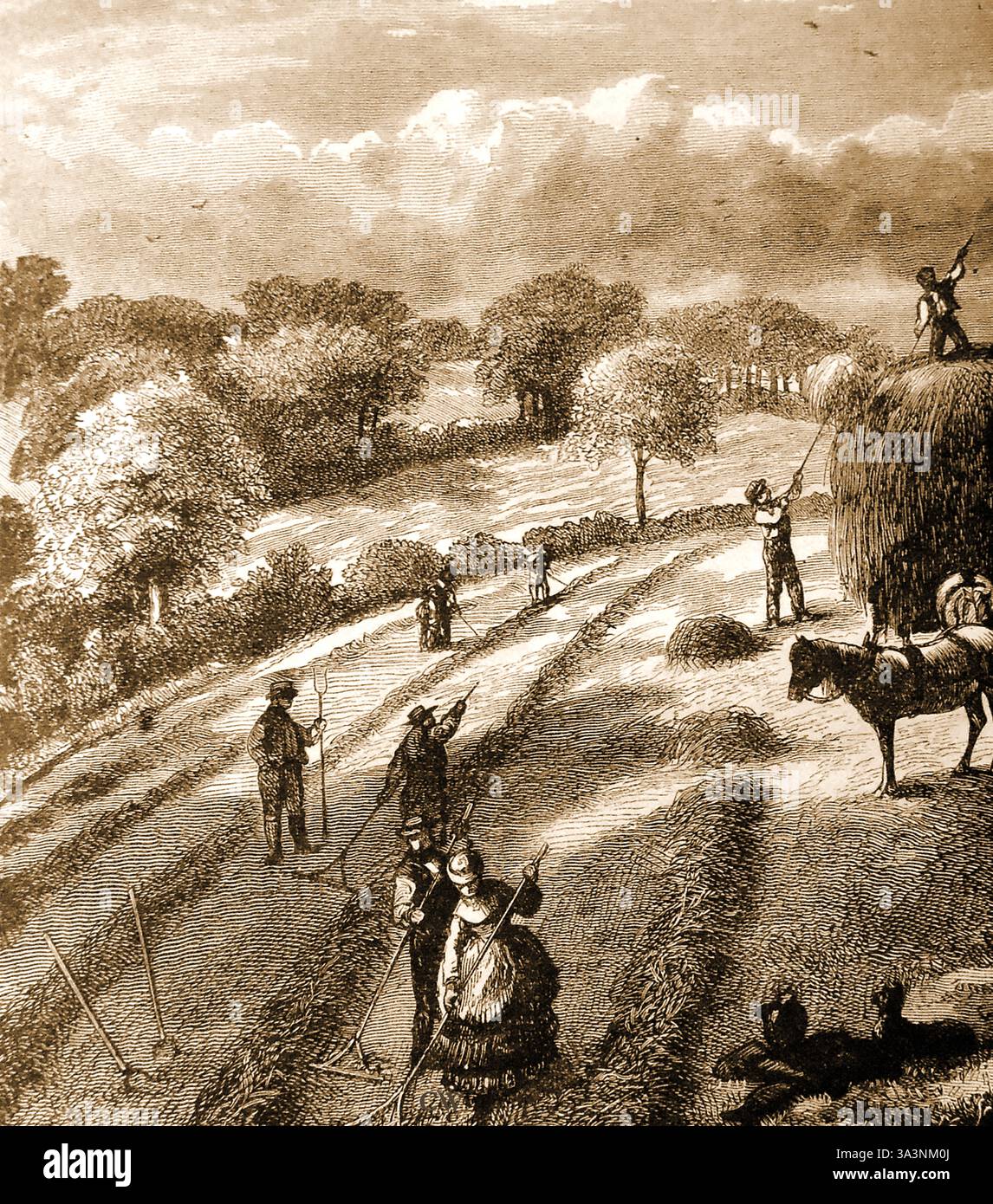 Gravure du XIXe siècle d'ouvriers dans un champ de foin britannique Banque D'Images