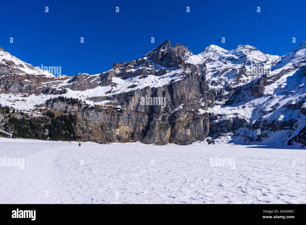 L'Oeschinensee gelé (c.1 522 m) vers le Fründschnuer (1 987 m) et le Underbärgli (1 825 m), au-dessus du village de Kandersteg, Oberland bernois, Suisse Banque D'Images