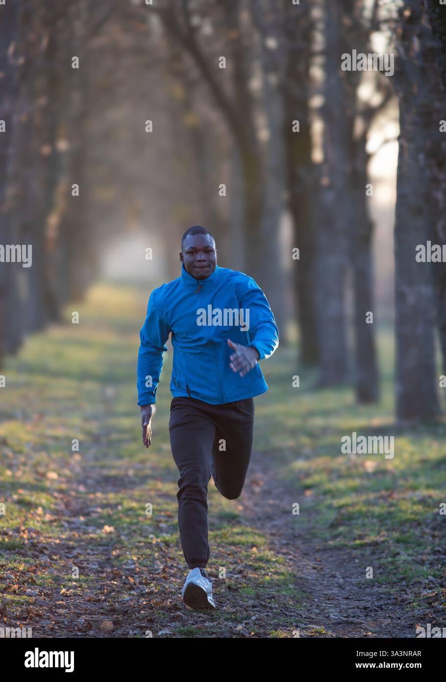 Homme en veste bleue jogging le long du chemin bordé d'arbres au petit matin, profitant de l'air frais et de la lumière au lever du soleil. Sport et mode de vie sain conc Banque D'Images