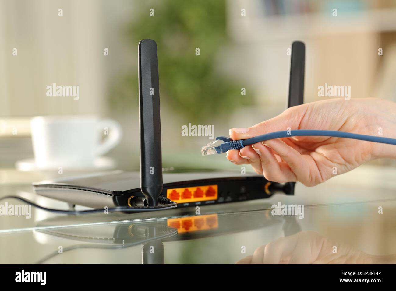 Gros plan d'une main de femme tenant le câble ethernet prêt à brancher le modem Banque D'Images