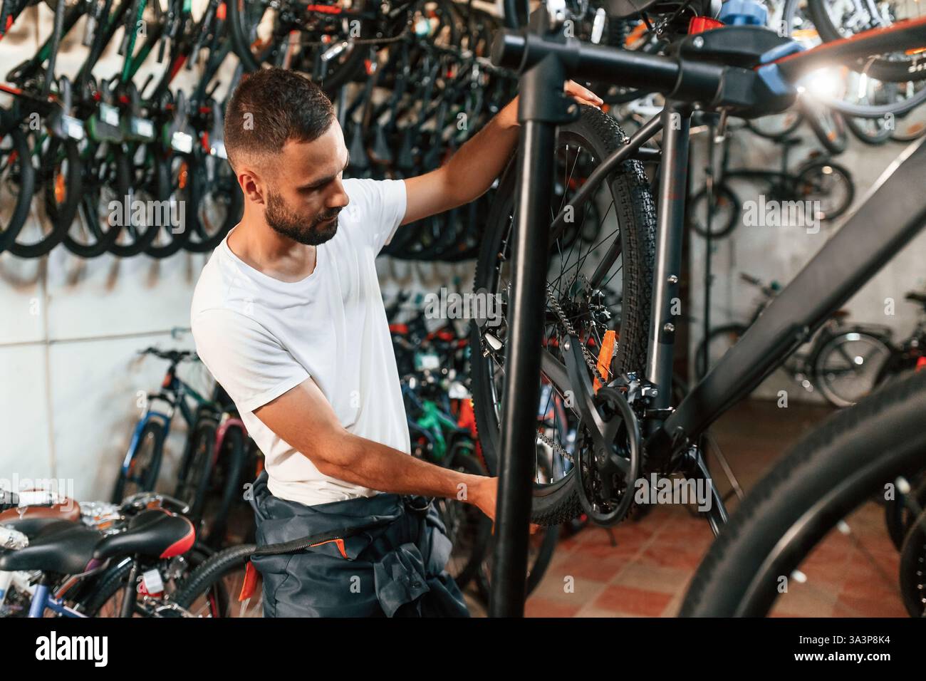 Réglages finaux. Réparateur homme dans le magasin de vélos, travaillant dans le magasin. Banque D'Images