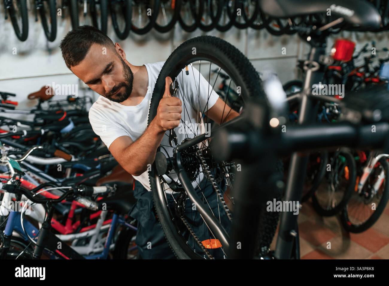 Réglages finaux. Réparateur homme dans le magasin de vélos, travaillant dans le magasin. Banque D'Images
