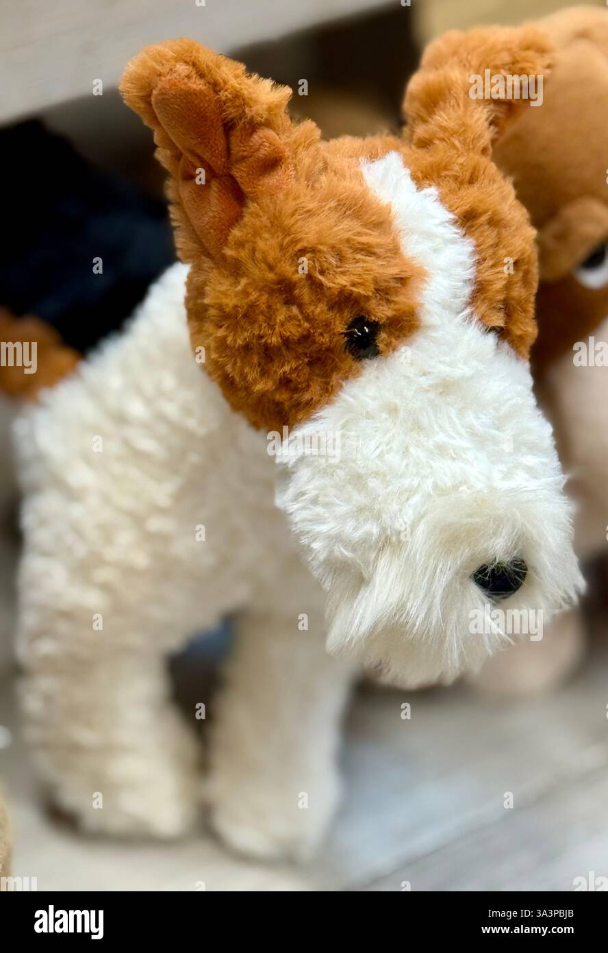 Jellycat Hector Fox Terrier en vente sur une étagère de magasin Banque D'Images