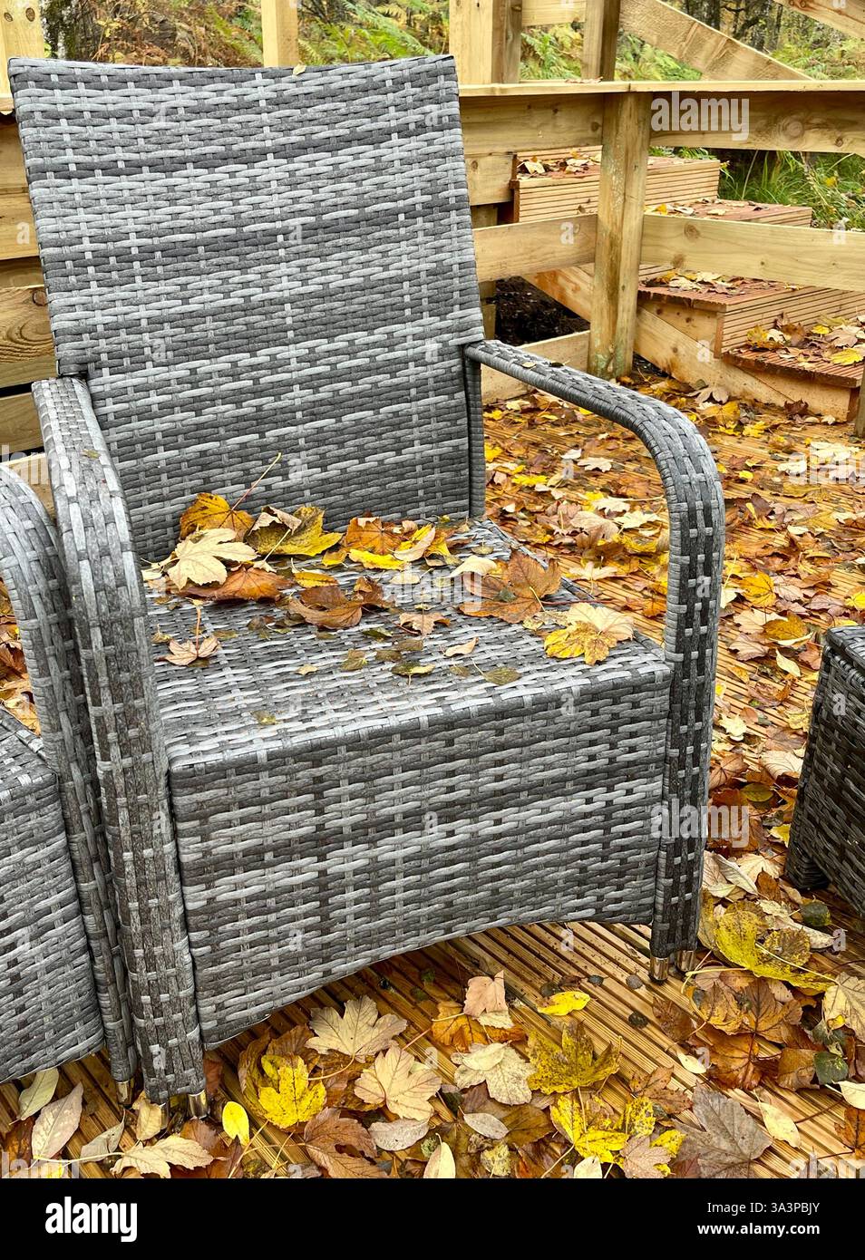 Chaise de jardin en rotin en automne sur terrasse en bois Banque D'Images