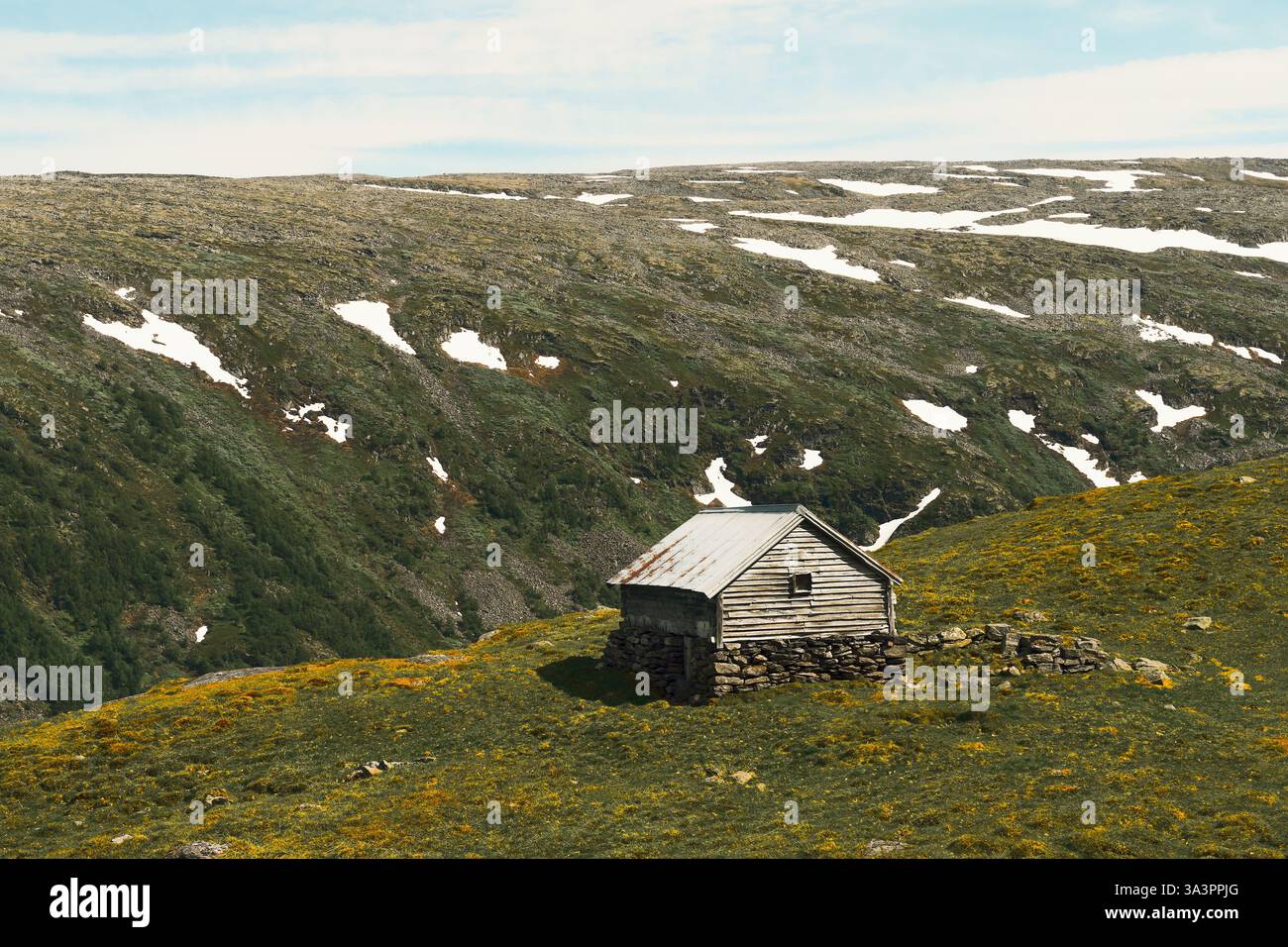 Une grange d'été de la route panoramique norvégienne des montagnes Aurlandsfjellet en juin. Banque D'Images