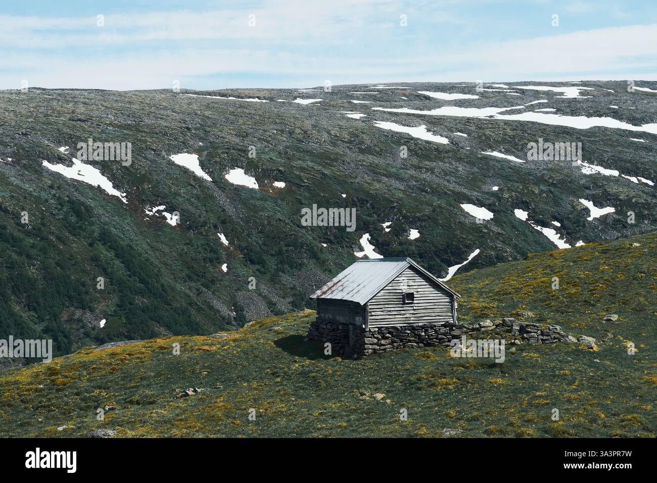 Une grange d'été de la route panoramique norvégienne des montagnes Aurlandsfjellet en juin. Banque D'Images