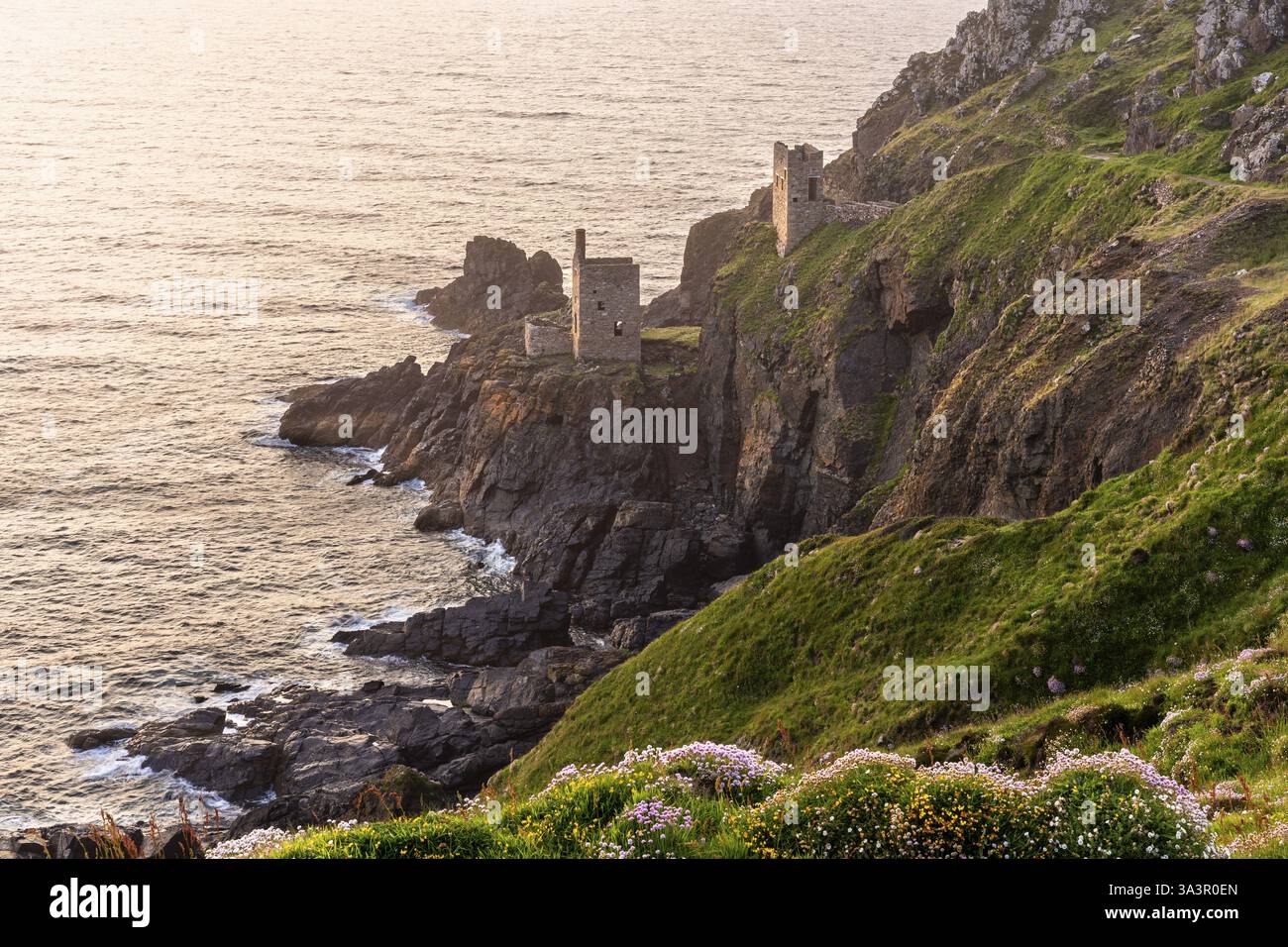 Les ruines des maisons de moteurs de la couronne de la mine Botallack, également connue sous le nom de mine Crown. En face de lui, des œillets de plage en fleurs (Armeria maritima), evenin Banque D'Images