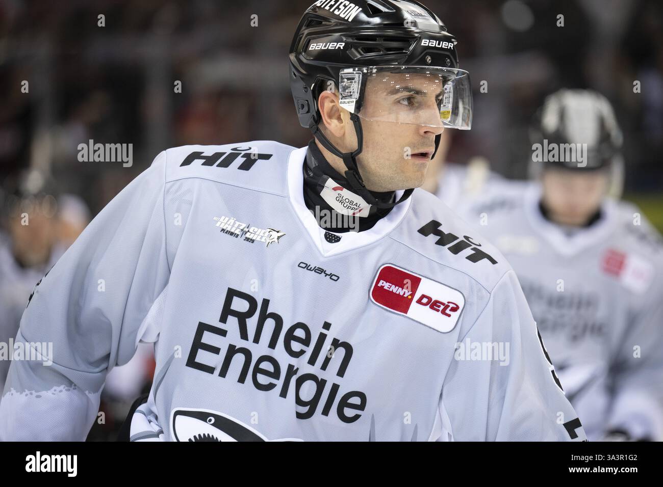 Eisarena Bremerhaven, Bremerhaven, Bremen, Maximilian Kammerer (Koelner haie, #9), PENNY DEL, Fischtown Pinguins-Koelner haie sur 16.03.2025 à l'Eis Banque D'Images