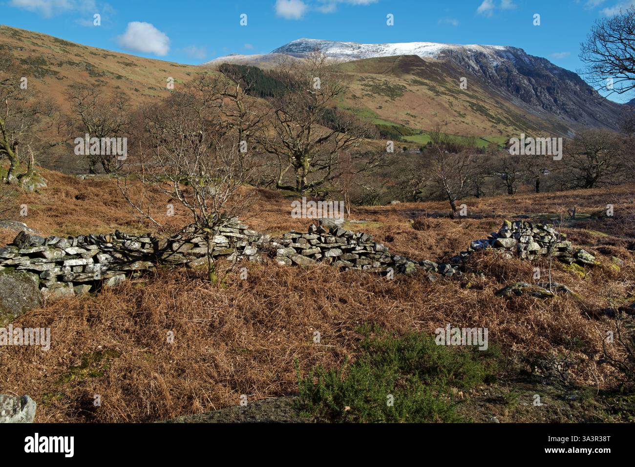 La chaîne de montagnes Carneddau se trouve à Snowdonia, au nord du pays de Galles. Le plus haut sommet observé est Carnedd Dafydd. On voit aussi la montagne Pen yr Ole Wen. Banque D'Images