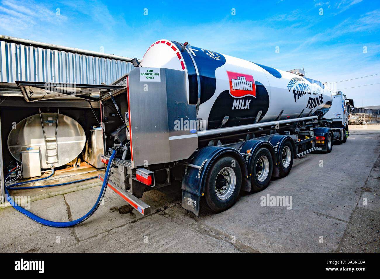Un camion-citerne de lait collectant du lait dans une ferme du Cheshire, au Royaume-Uni. Banque D'Images