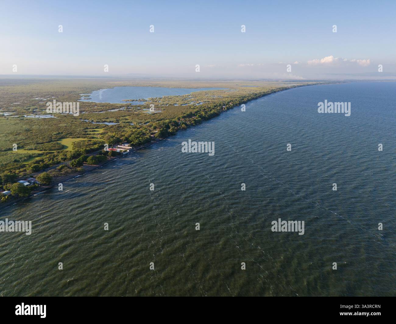 Une végétation luxuriante borde un littoral paisible sous un ciel bleu clair, reflétant les eaux calmes au loin. Banque D'Images