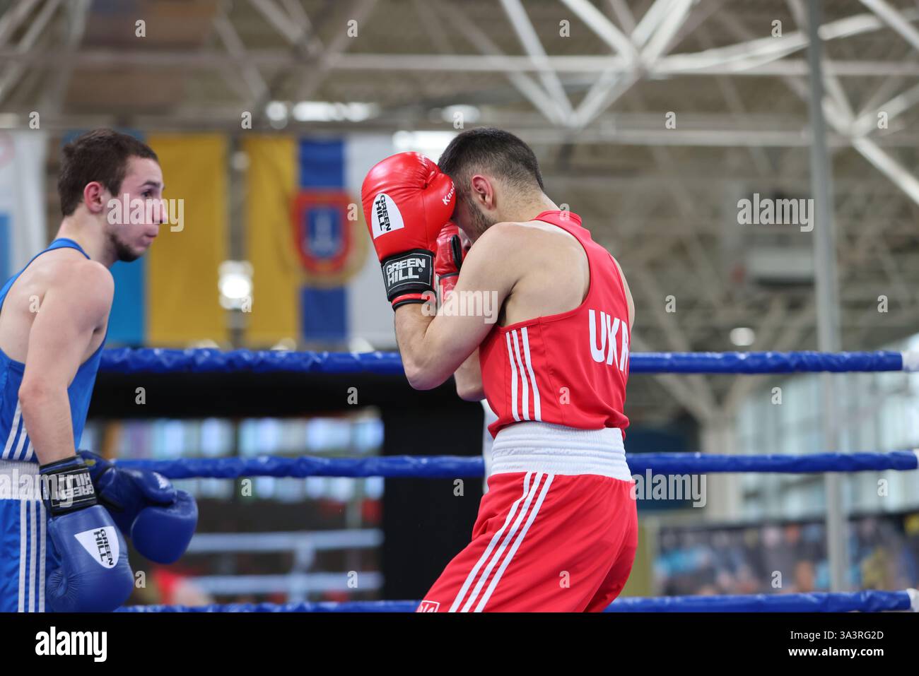 ODESSA, UKRAINE - 10 mars 2025 : Coupe d'Ukraine de boxe. Poids de combat final jusqu'à 51 kg, Rouge - Siova Muhammadiev, Bleu - Maksym Rudyk. Feu dur et sanglant Banque D'Images