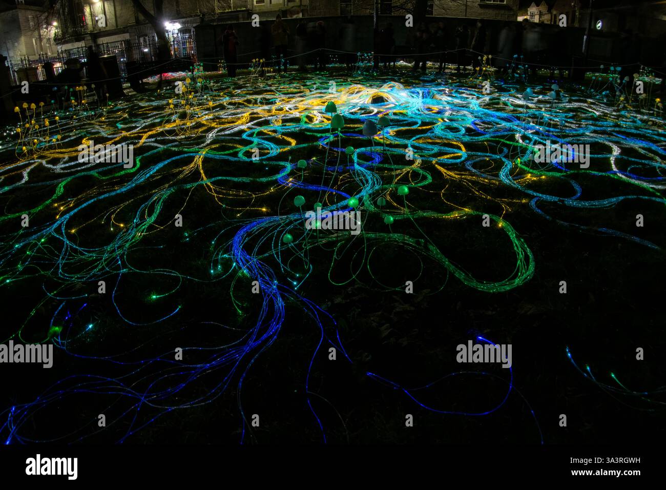 Aberdeen, Écosse - 8 février 2025 : le SPECTRA Light Festival 2025 à Aberdeen, Écosse Banque D'Images