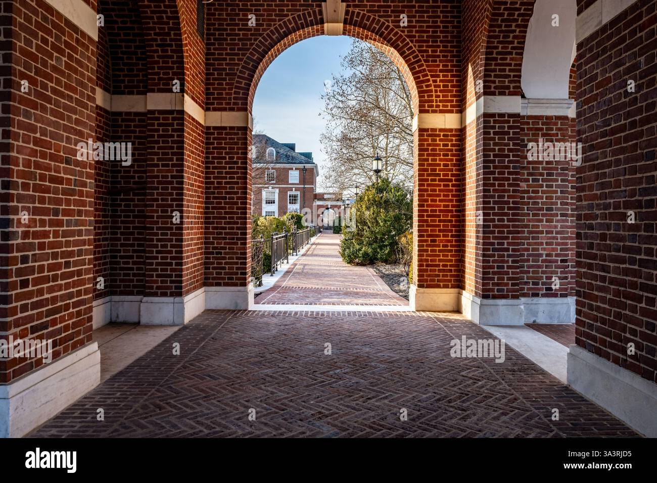 Baltimore, Maryland, États-Unis - 2025-03-09 : vieille passerelle en brique arquée avec des piliers en brique à l'Université Johns Hopkins Banque D'Images