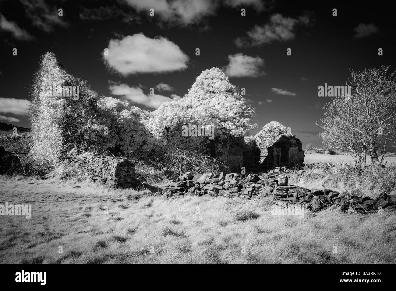 Image infrarouge d'un chalet de ferme en ruine Banque D'Images