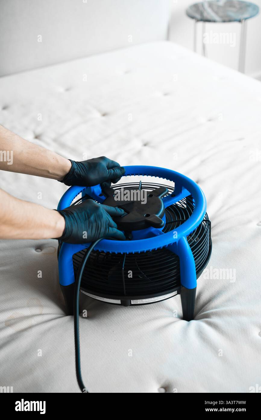 Séchage du matelas après nettoyage. Utilisation efficace d'une sécheuse pour sécher les meubles rembourrés Banque D'Images