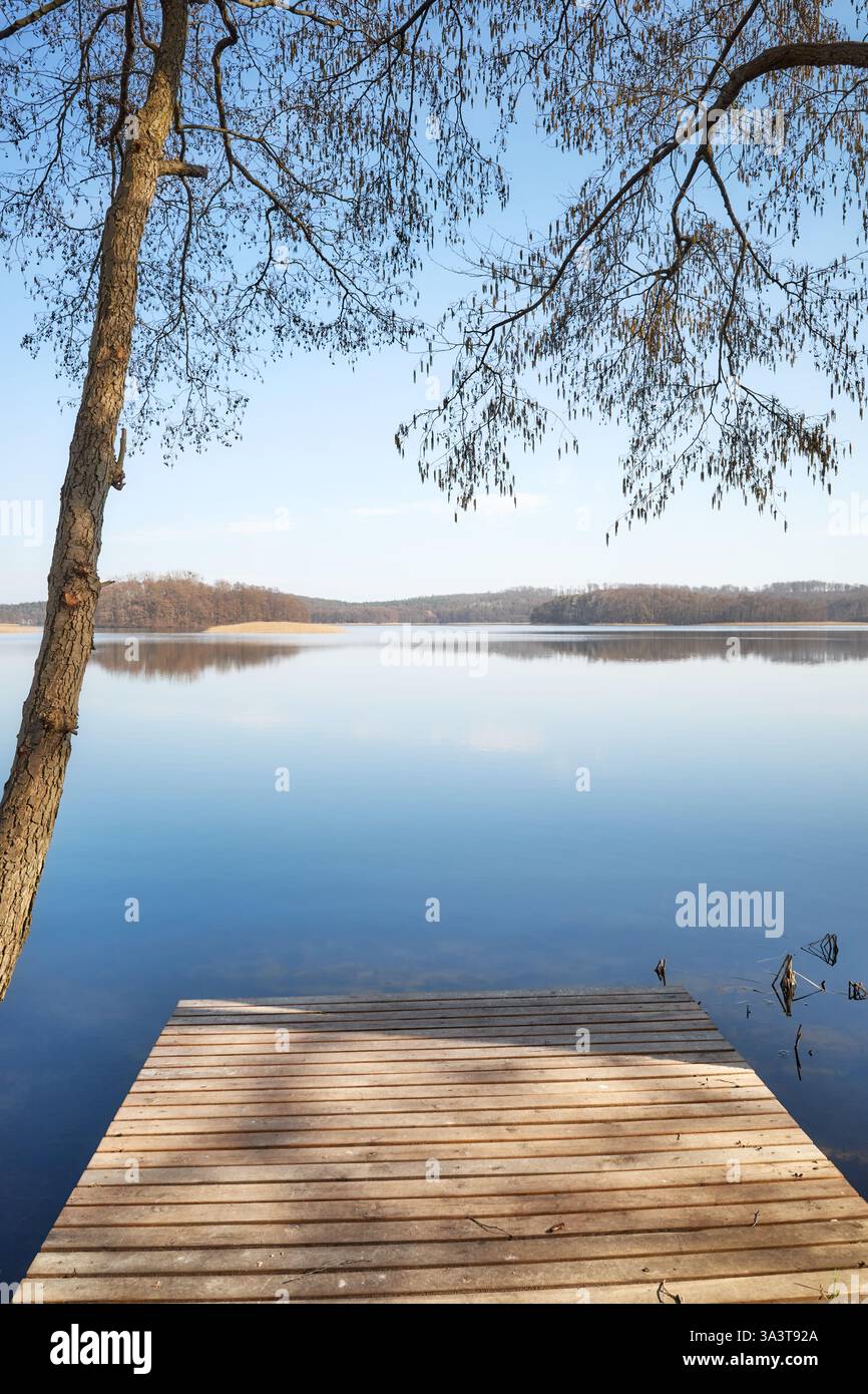 Jetée en bois sur le lac Barlinek, Voïvodie de Poméranie occidentale, Pologne. Banque D'Images