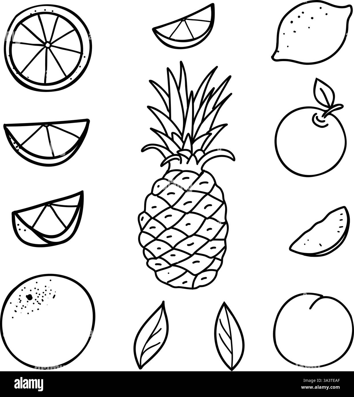 Ensemble de fruits. Citron, Orange, ananas, pomme et pêche. Vecteur dessiné à la main Doodle éléments de fruits entiers et couper des tranches. Dessin au trait noir et blanc Illustration de Vecteur