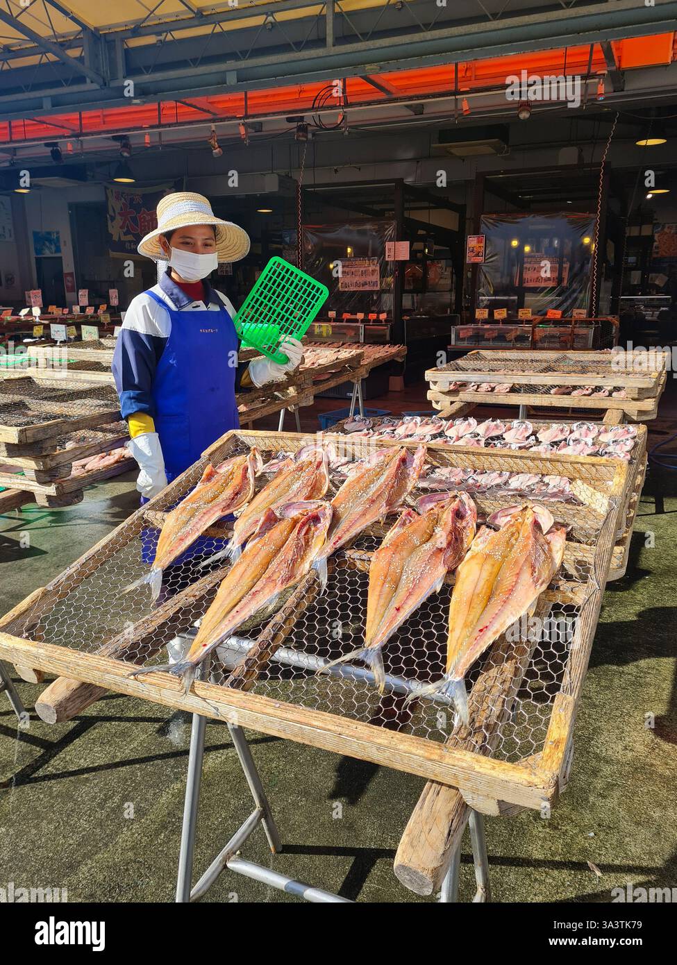 Travailleuse sur un marché aux poissons vendant du chinchard séché au port de Numazu dans la préfecture de Shizuoka, au Japon. Banque D'Images