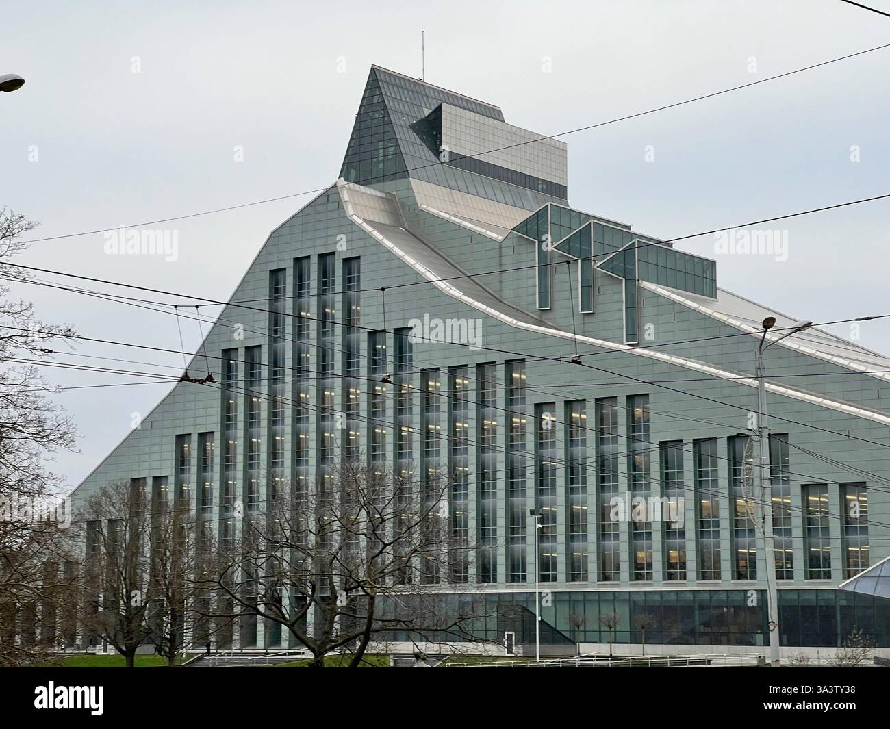 Gros plan époustouflant d'un sujet urbain ou naturel, mettant en évidence des détails et des textures complexes. - Image de stock capturée avec un smartphone