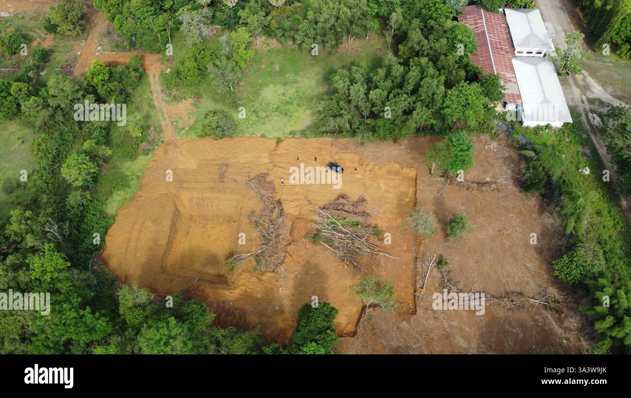 Vue aérienne haute résolution du défrichement pour la construction ou l'agriculture. La scène capture le sol exposé, les arbres tombés, et un véhicule sur place, Banque D'Images