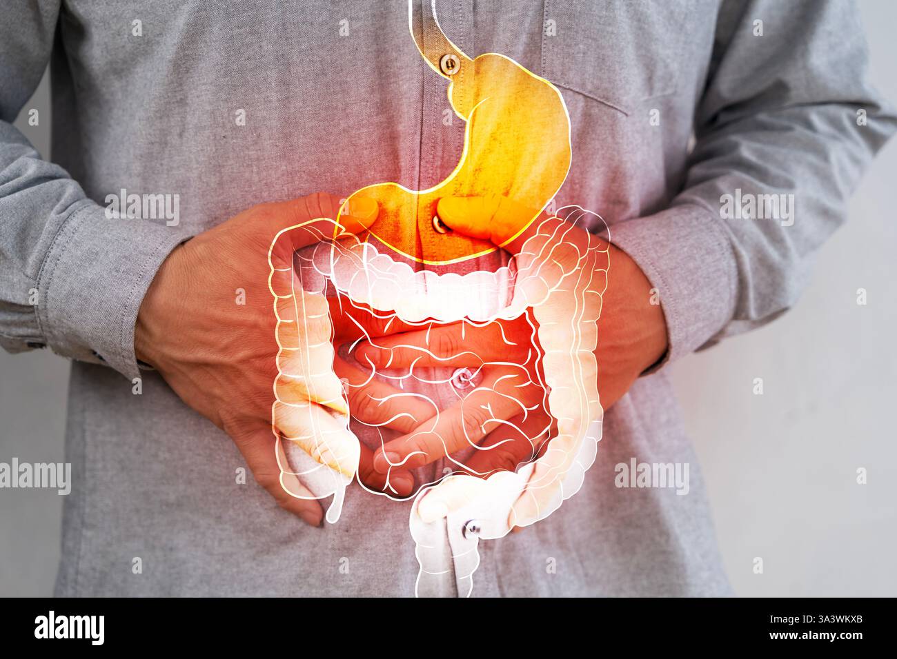 Un estomac humain médical avec inflammation due à un ulcère gastro-duodénal. Image recadrée d'un homme souffrant de douleurs à l'estomac. Femme âgée asiatique ayant mal à l'estomac sur est Banque D'Images