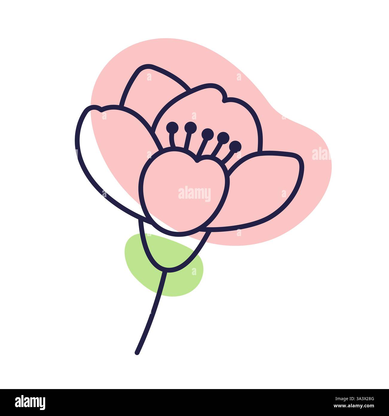 Fleur de cerisier. Illustration de contour avec points de couleur. Griffonner. Fleur de cerise dessinée à la main isoler sur blanc. Sakura Bud. Illustration de Vecteur