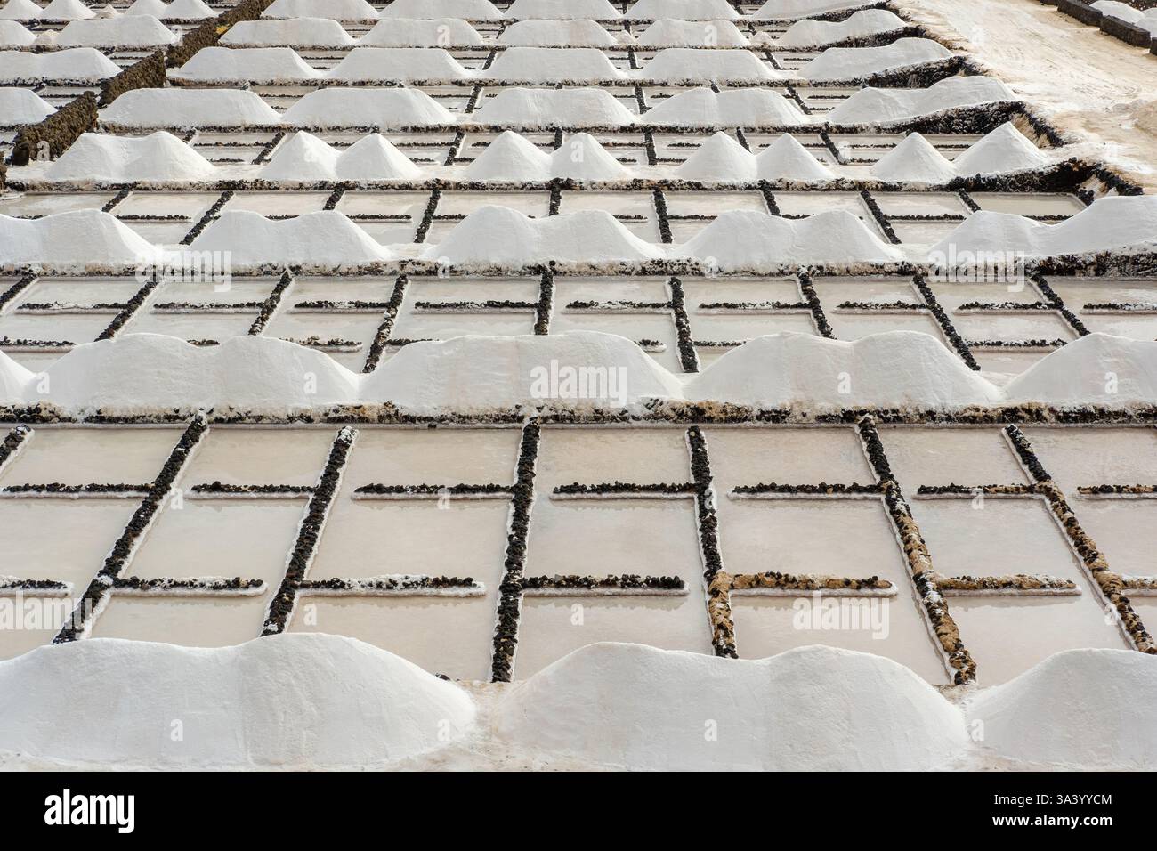 Les salines Salinas de Janubio. Banque D'Images