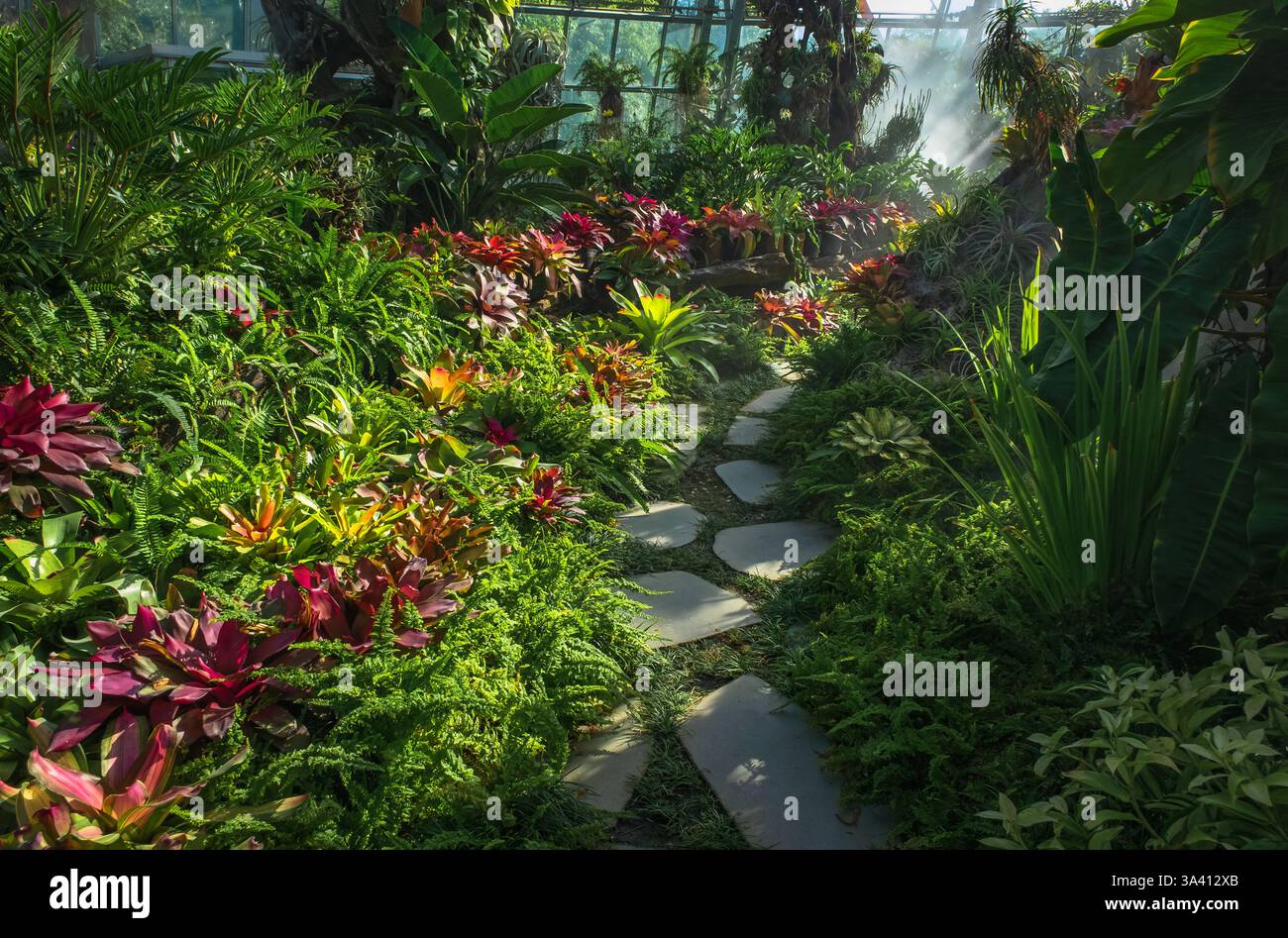 Une belle maison verte avec différents types de plantes feuillues colorées. Jardin botanique. Jardin botanique intérieur. Plantes tropicales. Banque D'Images
