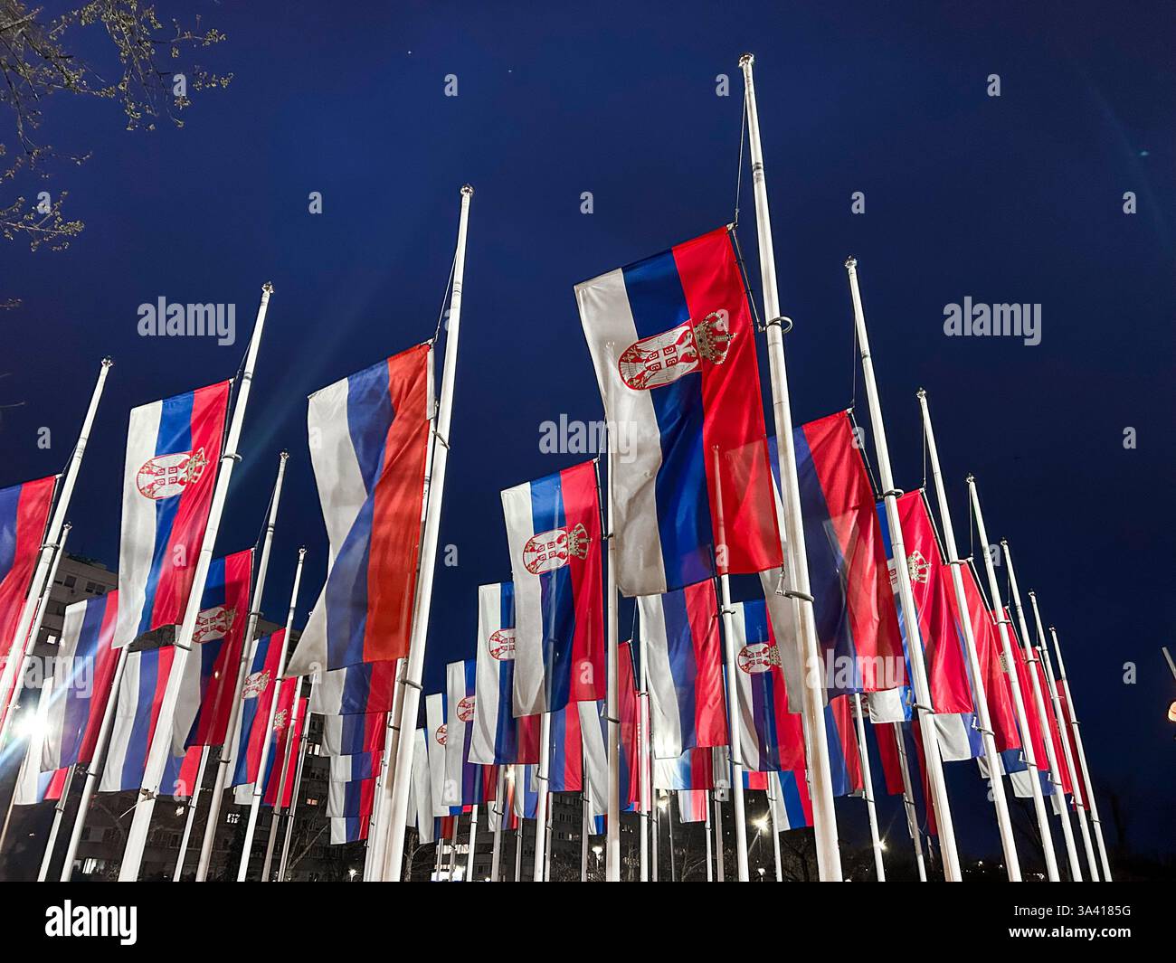Drapeaux serbes abaissés en Berne en l'honneur du jour de deuil de nuit, symbolisant le respect et le souvenir. - Image de stock capturée avec un smartphone