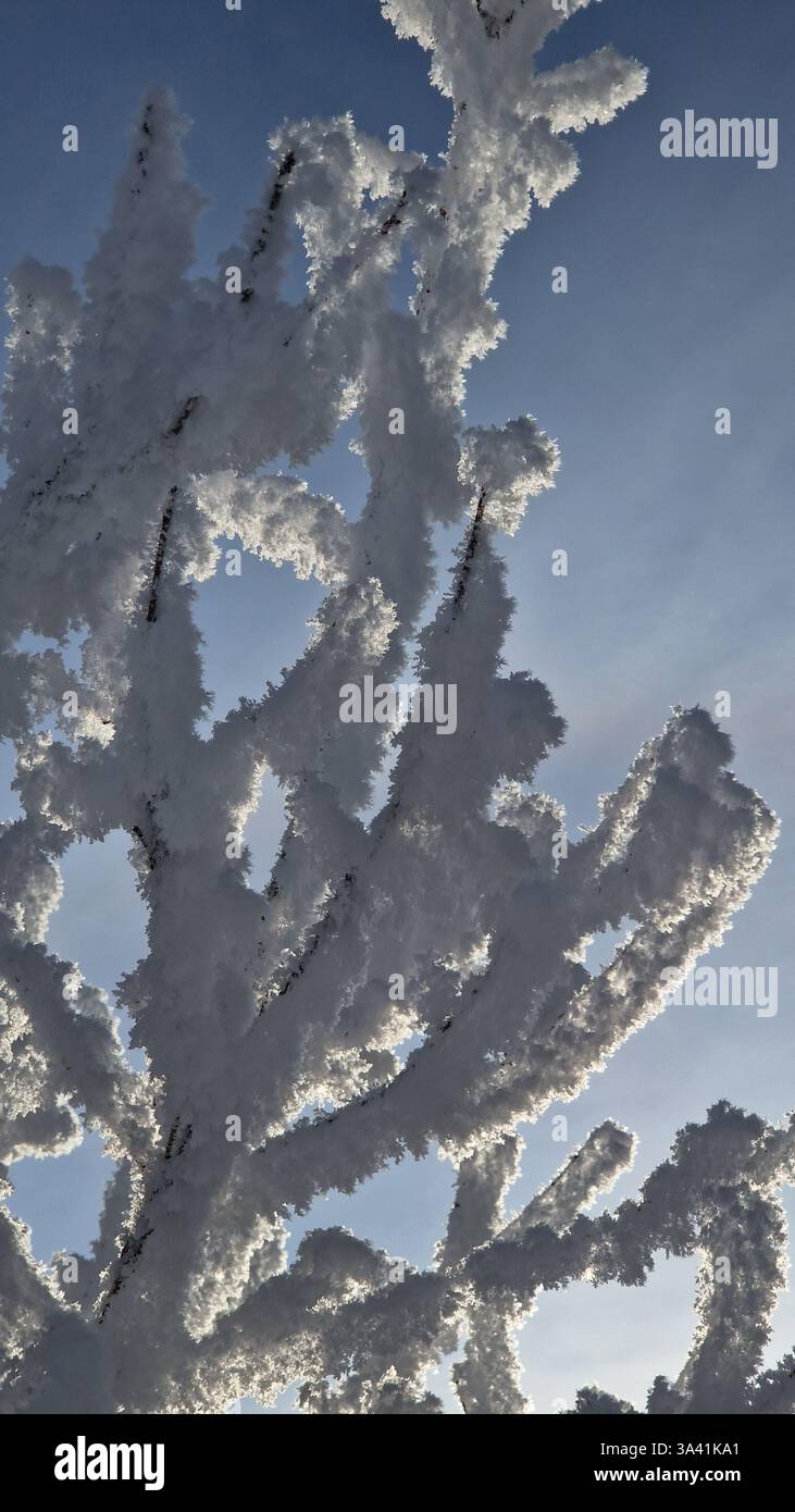 La glace à la perfection - Image de stock capturée avec un smartphone