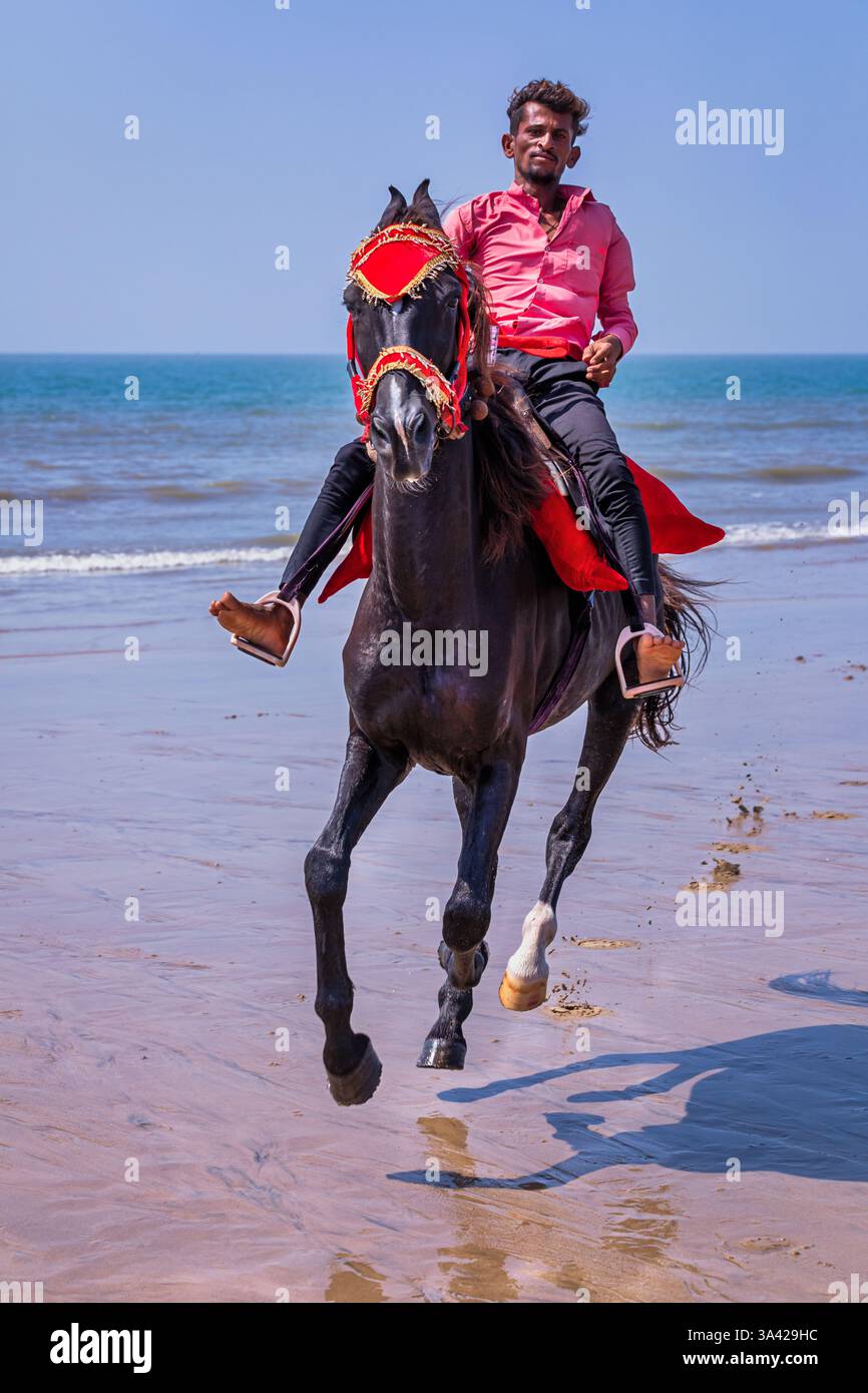 Homme à cheval sur la plage de Mandvi, Gujarat, Inde Banque D'Images