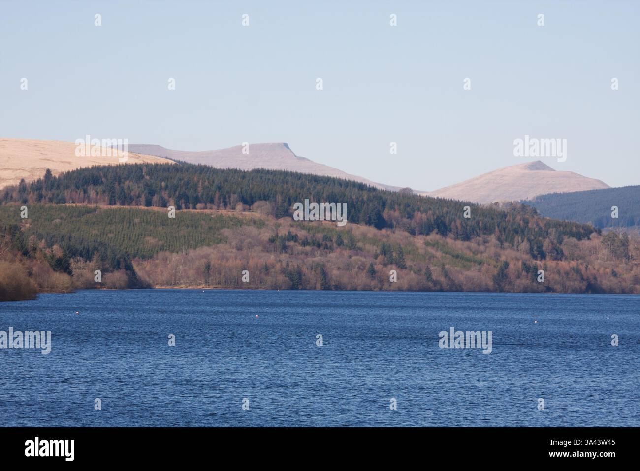 Réservoir de Pontsticill, Merthyr Tydfil, pays de Galles du Sud, 18 mars 2025. Météo britannique : après-midi ensoleillé aujourd'hui en regardant vers les Brecon Brecons. Crédit : Andrew Bartlett/Alamy Live News Banque D'Images Réservoir de Pontsticill, Merthyr Tydfil, pays de Galles du Sud, 18 mars 2025. Météo britannique : après-midi ensoleillé aujourd'hui en regardant vers les Brecon Brecons. Crédit : Andrew Bartlett/Alamy Live News Banque D'Images