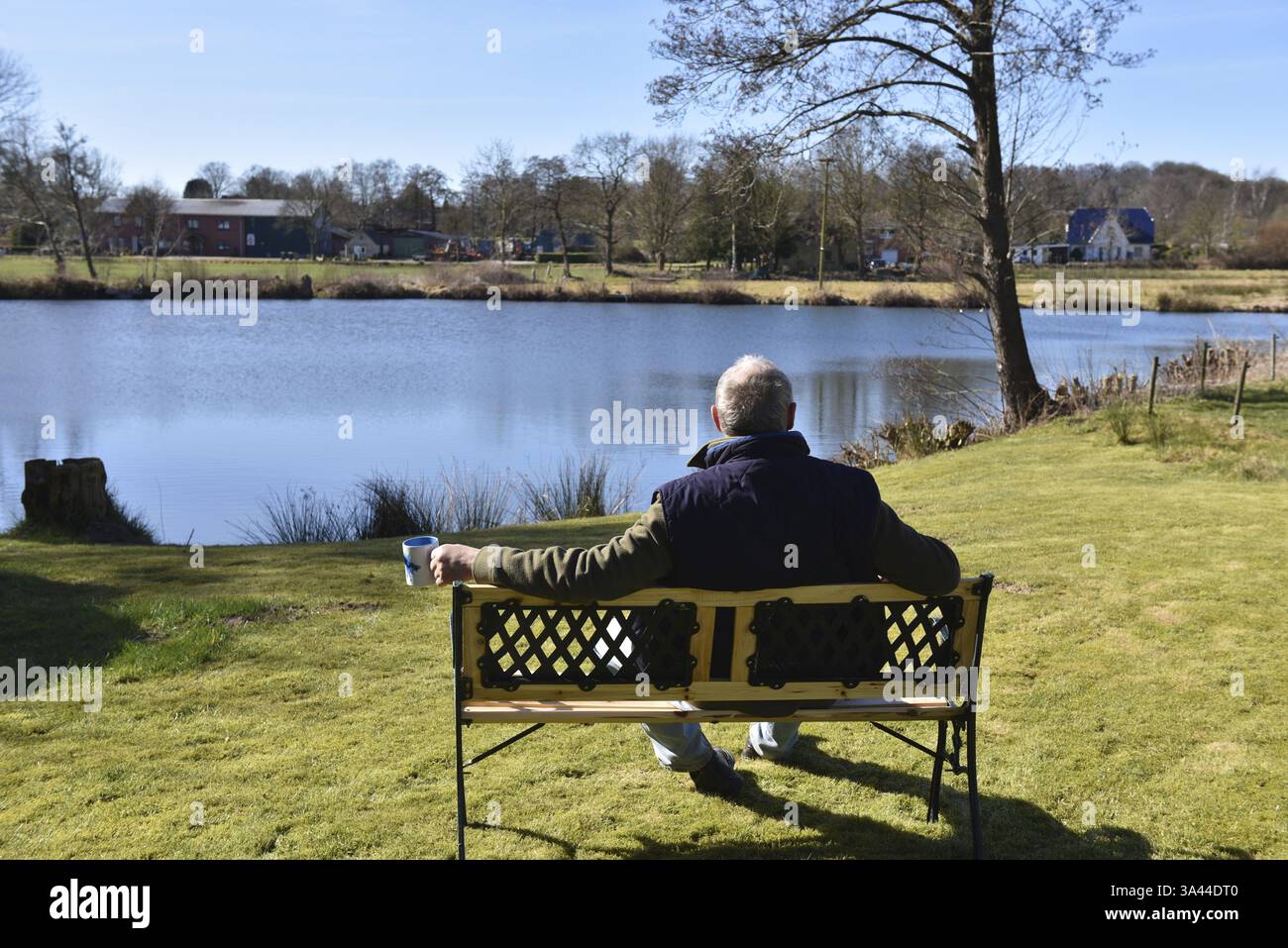 Homme assis avec une tasse de café sur un banc au bord d'un lac, Schleswig-Holstein, Allemagne, Europe Banque D'Images Homme assis avec une tasse de café sur un banc au bord d'un lac, Schleswig-Holstein, Allemagne, Europe Banque D'Images